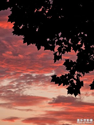 【光影之間】黃昏的顏色