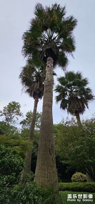 【光影之間】+邂逅公園