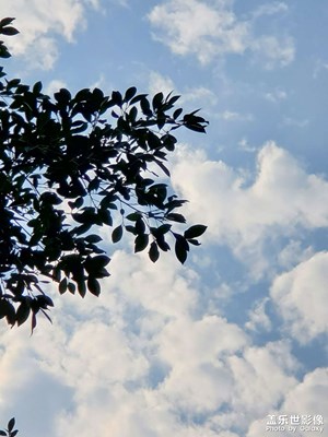 【光影之間】+平常一天