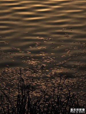 【光影之間】+光的繪影