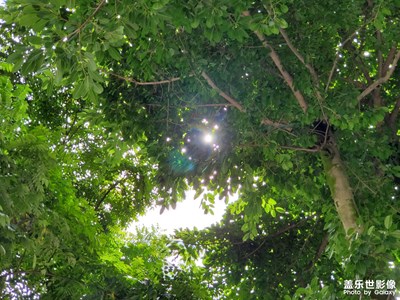 【光影之間】+碧綠色