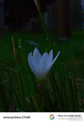 帶著fold5逛古鎮(zhèn)