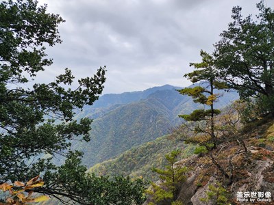 【雙節(jié)同慶】+秋美山景