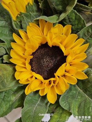 【雙節(jié)小長假】旅途隨手拍