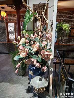 【雙節(jié)小長(zhǎng)假】+閑暇時(shí)光