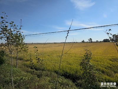 【雙節(jié)小長假】回鄉(xiāng)