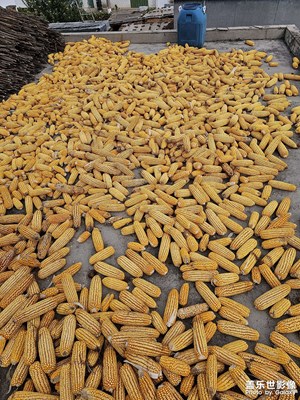 【雙節(jié)小長假】我的家鄉(xiāng)美