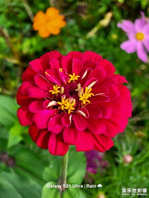 農(nóng)村生活攝影養(yǎng)成??8??