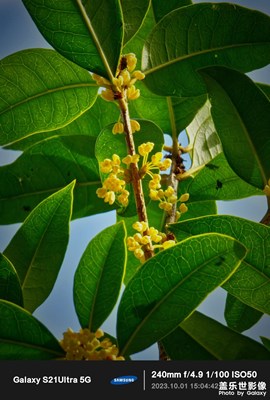 農(nóng)村生活攝影養(yǎng)成??9??