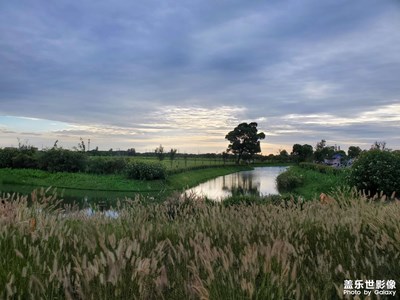 【雙節(jié)小長(zhǎng)假】＋郊野公園半日閑