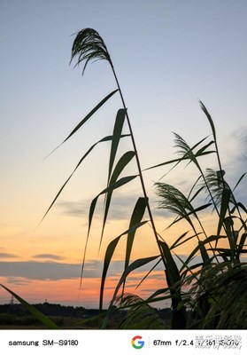 【雙節(jié)小長(zhǎng)假】+隨拍夕陽