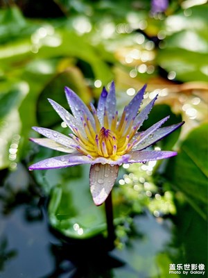 【別樣精彩】走近自然