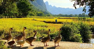 【別樣精彩】桂北風(fēng)光