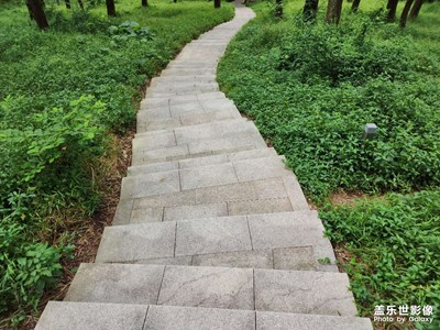 【雙節(jié)小長假】我的假期