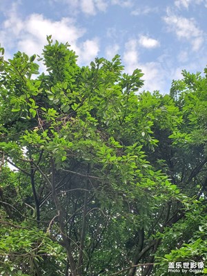 【別樣精彩】+閑暇時光