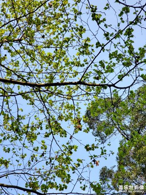 【別樣精彩】+懷念溫暖的日子