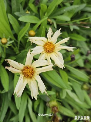 【鏡頭里的秋日私語(yǔ)】植物園