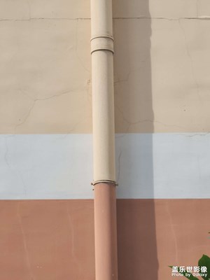 【鏡頭里的秋日私語】寂靜秋日