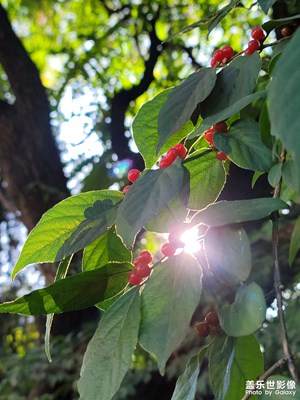 走過(guò)路過(guò)不要錯(cuò)過(guò)