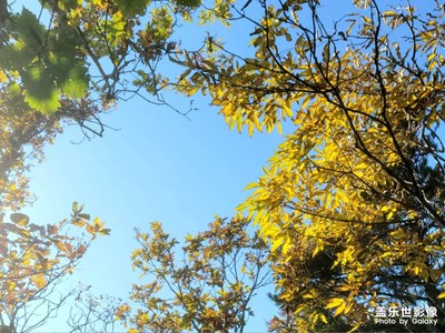 【鏡頭里的秋日私語(yǔ)】+ 牛背梁