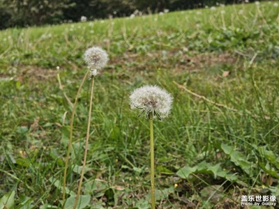 【賞秋正當(dāng)時(shí)】+高中校園