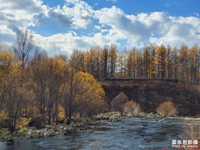 【賞秋正當時】秋天里的童話