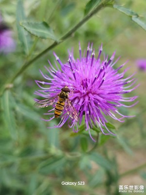 【賞秋正當(dāng)時(shí)】光的色彩