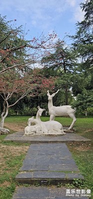 【賞秋正當(dāng)時(shí)】+秋天隨拍