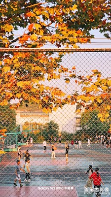 【賞秋正當(dāng)時(shí)】秋日校園