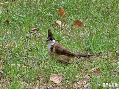 【賞秋正當(dāng)時(shí)】公園的秋天