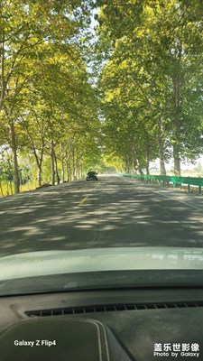 秋和夏短暫的相會