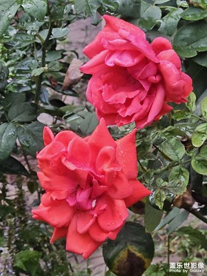 【賞秋正當(dāng)時】+好時美景