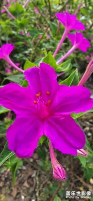 【精彩瞬間】+記錄生活