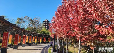 【精彩瞬間】+秋天的顏色