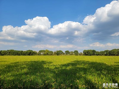 【賞秋正當時】+嘉北郊野公園