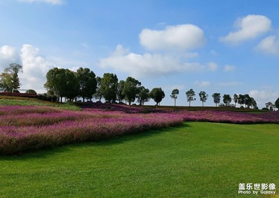 【精彩瞬間】多彩森林公園