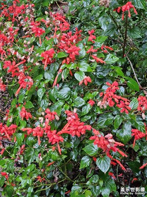 【精彩瞬間】+生活打卡