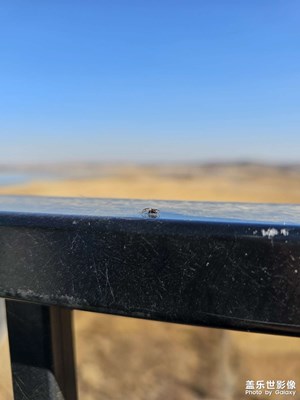 【影像的魅力】+小蜘蛛