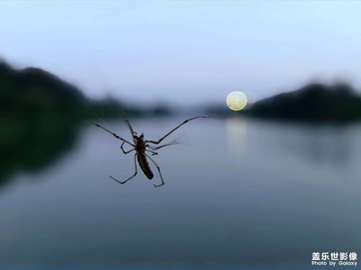 【影像的魅力】戲月