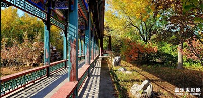 深秋（唐山南湖公園隨拍）