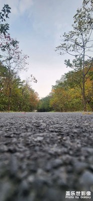 似是秋風(fēng)起簌簌，何曾為我訴秋思