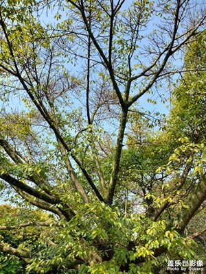 【影像的魅力】+風(fēng)景如畫