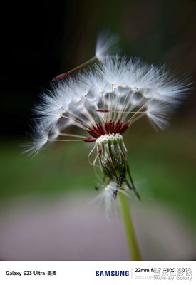 【一鏡一世界】+微距幾張