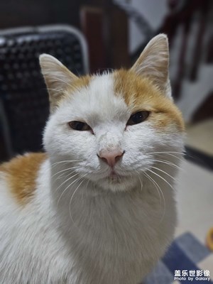 【一鏡一世界】+發(fā)現(xiàn)的東西