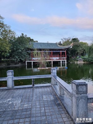 公園景色