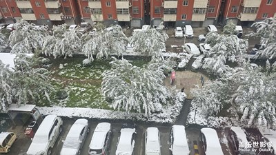 立冬后的第一場雪