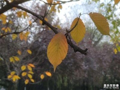 【一鏡一世界】+場景小拍