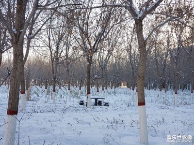 冬天第一場(chǎng)雪