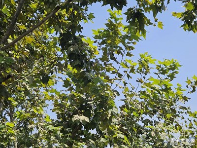 【一鏡一世界】+世界美好