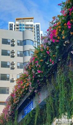 【一鏡一世界】最美人行天橋